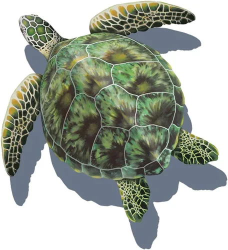 Vista 9 de Mosaico de porcelana de tortuga marina para piscina (10 x 10 pulgadas, verde)