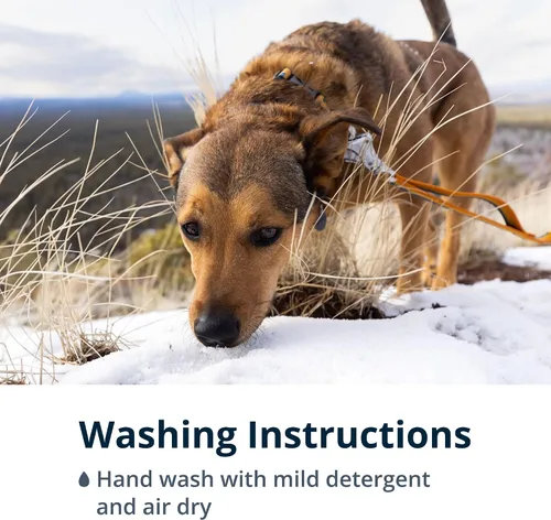 Vista 7 de Ruffwear, Roamer - Correa elástica para perro para correr, andar en bicicleta o senderismo, se puede utilizar de mano o manos libres, azul Orión