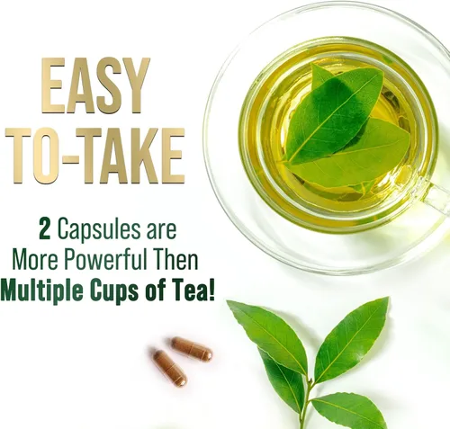 Vista 7 de Extracto de té verde 98% EGCG estandarizado – 3 veces de fuerza para energía natural – Auxiliar cardíaco con polifenoles – cafeína suave, fabricado