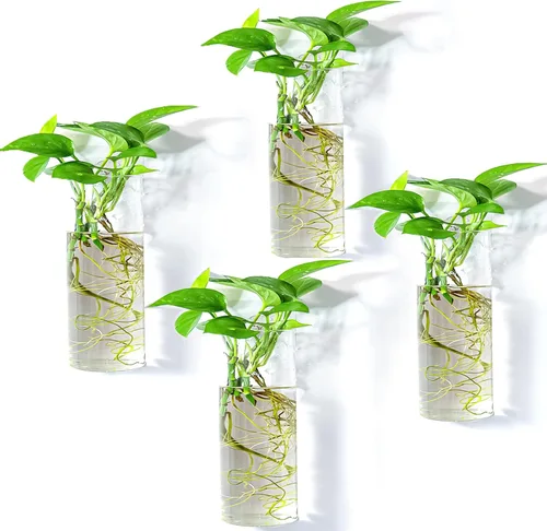 Vista 9 de Paquete de 2 macetas colgantes de pared, terrarios de vidrio, soportes cilíndricos para plantas de aire, plantas de aire, macetas para suculentas
