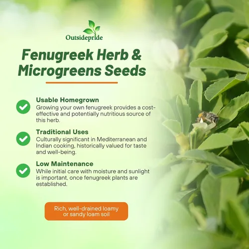 Vista 3 de Outsidepride Semillas de fenogreco y microgreens - 1000 unidades. Semillas anuales, versátiles y fáciles de cultivar, semillas de hierbas