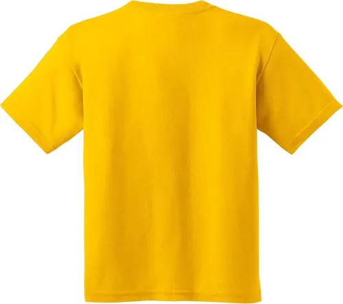 Vista 401 de NCAA Arch Logo, camiseta juvenil color del equipo, universidad - universidad