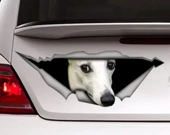 Vista 18 de Calcomanía roja de perro salchicha de pelo largo, calcomanía para mascotas, calcomanía de perro salchicha rojo, calcomanía de vinilo para perro