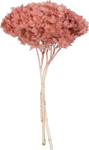 Vista 13 de Vickerman Hortensias de musgo antiguo de 15 pulgadas con múltiples segmentos de rama. Conservada