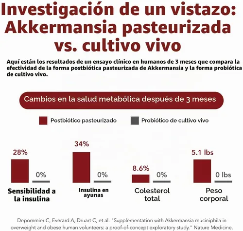 Vista 7 de AK-Postbio: Akkermansia Probiotic 30 mil millones de TFU - Fuerza máxima, dosis clínicamente validada y cepa patentada - Forma pasteurizada