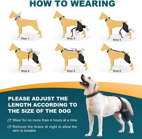 Vista 6 de Rodillera Dollephi para Perro para Pierna Trasera Desgarrada ACL, Compresa Caliente/Fría para Luxación de Rótula u Osteoartritis, Lesiones