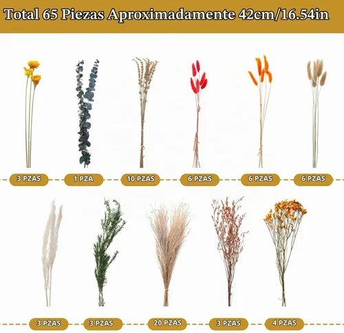 Vista 3 de Flores secas naturales DIY conjunto de flores boho a granel