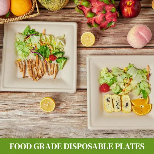 Vista 6 de ECOLipak Paquete de 100 platos cuadrados compostables, platos de papel desechables de 10 pulgadas hechos de caña de azúcar, ecológicos, resistentes