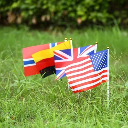 Vista 7 de Bandera de 200 países, banderas deportivas de palillo de país, parte superior redonda de mano pequeña en palo, bandera de países del mundo en cada