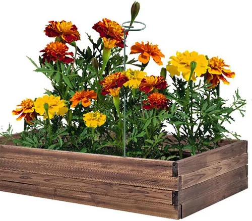 Vista 4 de Soporte de estaca para plantas, paquete de 6, anillos de soporte de jaula de plantas de un solo tallo para jardín, estacas de soporte para plantas