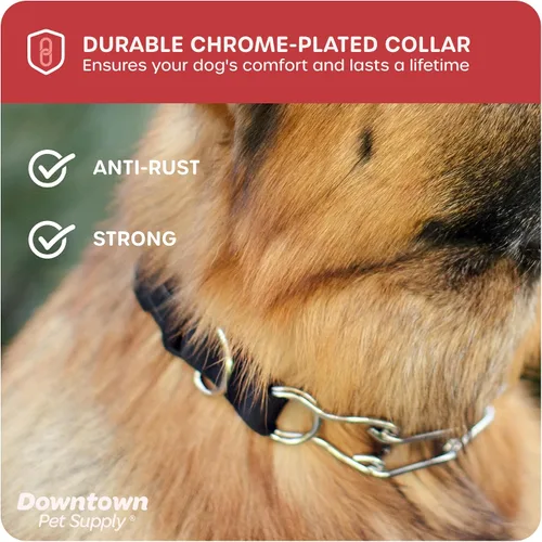 Vista 5 de Downtown Pet Supply Collar de punta cromado/nailon para perros, pequeño, ajustable, sin estrangulamiento y sin tirones, con eslabones extraíbles