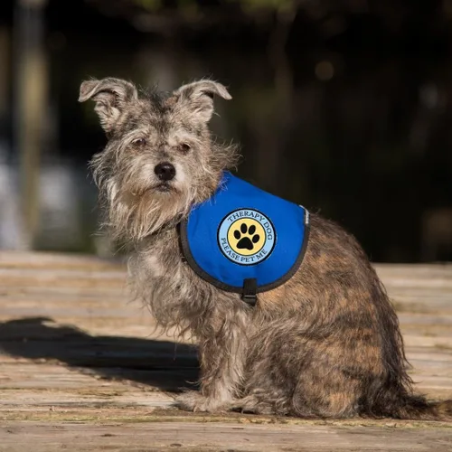 Vista 8 de Therapy Dog - Parche cosido con estampado de patas, para terapia de perro o arnés