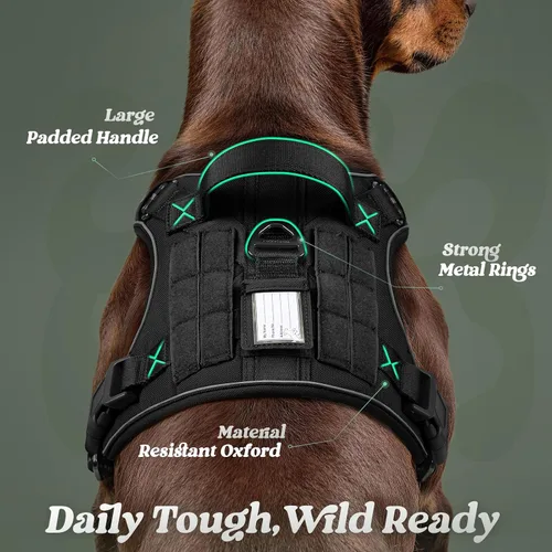 Vista 6 de rabbitgoo - Arnés para perros pequeño sin tirones, chaleco táctico de servicio con Molle y asa de control, arnés militar ajustable y reflectante