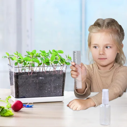 Vista 2 de Oliz Macetas de autorriego – Paquete de 4 macetas rectangulares transparentes con agujeros de drenaje para plantas