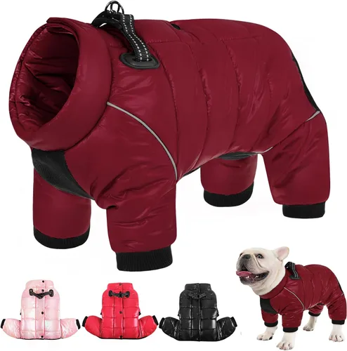 Vista 8 de AOFITEE - Abrigo para perros, impermeable para invierno, cálido traje completo para perros, abrigo de invierno para perros pequeños, chaqueta