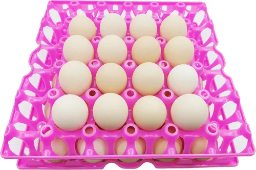 Vista 7 de Paquete de 6 bandejas de plástico para huevos de pollo para productos agrícolas, estantes para huevos, pato, 30 bandejas para poner huevos