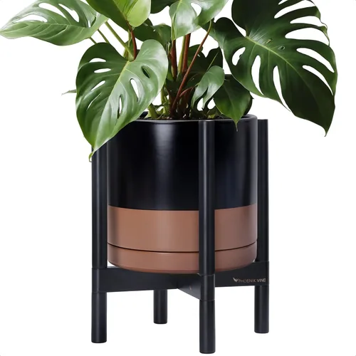 Vista 51 de D'vine Dev Maceta de cerámica con soporte de ébano – Maceta redonda moderna de 8 pulgadas con soporte para maceta de madera, color negro, 55-B-M-2