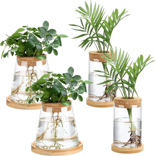 Vista 11 de Layhit 4 piezas de estaciones de propagación de plantas, jarrones de vidrio con tapa de madera y soporte de bambú para plantas hidropónicas, regalos