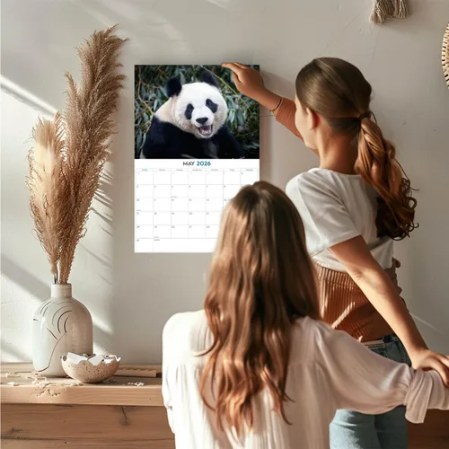 Vista 545 de Calendario de grises africanos 2025 2026 – Planificador mensual de pared de aves africanas – 12 x 18 pulgadas (abierto), calendario de pared