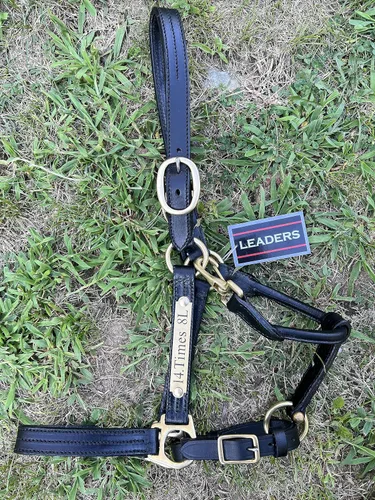 Vista 3 de Leaders - Cabestro de cuero para caballos con placa de nombre grabada personalizada, cabestro para caballo, negro/latón