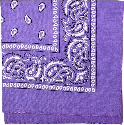Vista 31 de Motique Accessories Bandana de algodón de 22 pulgadas con estampado cachemira