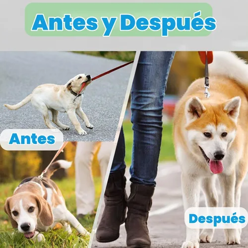 Vista 4 de Collar de entrenamiento de puntas para perros, soldadura de anillo giratorio, collar ajustable de entrenamiento para perros con hebilla de Negro