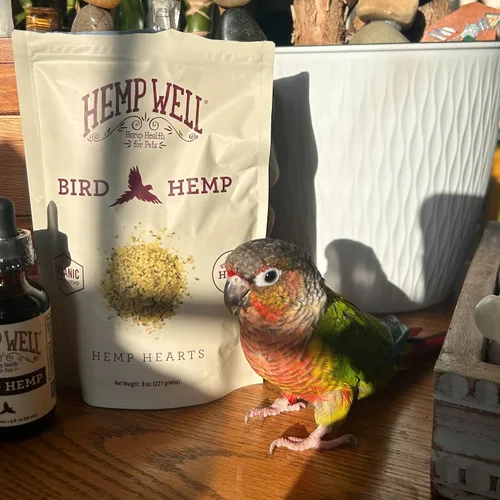 Vista 7 de Hemp Well Corazones de cáñamo orgánico para pájaros: reduce el desplome de las plumas, promueve la relajación, el apoyo inmunológico, orgánico