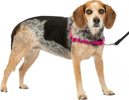 Vista 26 de PetSafe Easy Walk - Arnés para perro, sin tirones, gris carbón Carbón/Negro