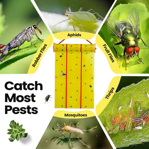 Vista 4 de Qualirey Trampas adhesivas gigantes para moscas, tiras para moscas para interiores y exteriores, cintas voladoras no tóxicas, mata mosquitos
