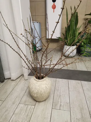 Vista 6 de Jarrón de escritorio para decoración del hogar, florero de piso retro, moderno jarrón de flores secas, adornos decorativos, macetas de arcilla