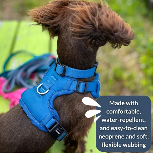 Vista 8 de DJANGO Tahoe Arnés para perro sin tirones, arnés para perros pequeños con clips delanteros y traseros para uso diario, ajustable, acolchado