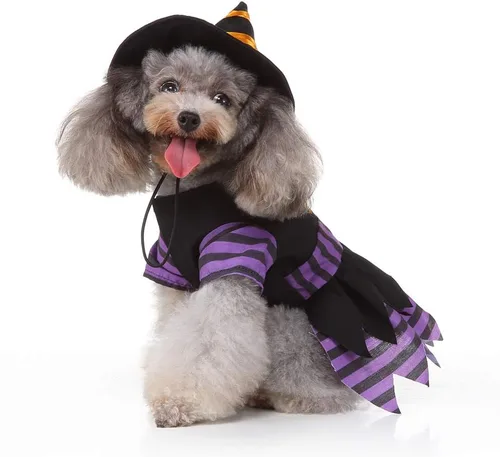 Vista 2 de Yoption Disfraz de bruja para perro y gato con sombrero mágico, talla S
