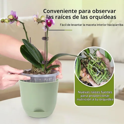 Vista 3 de QCQHDU 2 Pack 5.7 Inch Orchid Pots with Holes for Repotting, Double-Layer and Self Watering Orchid Pot with Good Air Circulation Verde