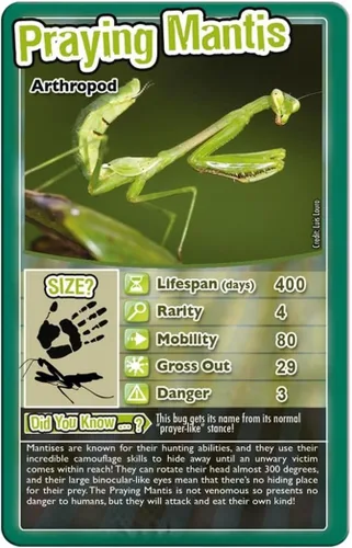 Vista 2 de Top Trumps Juego de cartas Bugs - Juegos familiares para niños y adultos - Juegos de aprendizaje - Juegos de cartas para niños 2 y más