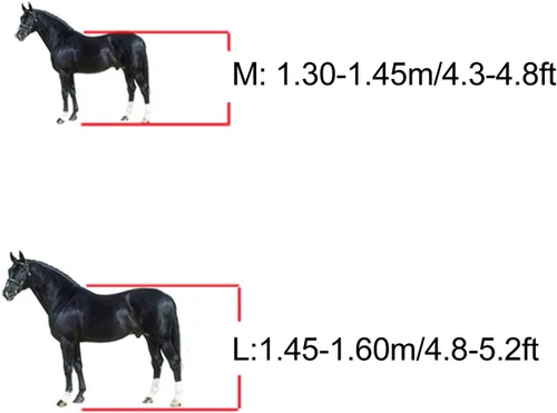 Vista 5 de Zerodis 4 botas de caballo, botas de tendón de caballo con frente abierto, botas ajustables y ligeras para pierna de caballo con correas de hebilla