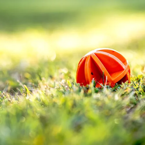 Vista 5 de Do-All Outdoors - Pelota bailarina de 4 pulgadas, clasificada para calibre .22 - .50, naranja