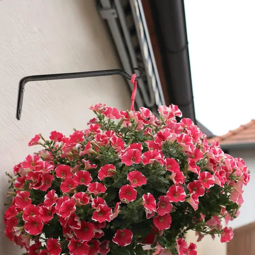Vista 5 de Worth Garden - Paquete de 6 soportes de ménsula para colgar plantas de 10 pulgadas, gancho de pared de hierro forjado con recubrimiento de polvo