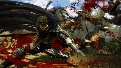 Vista 8 de Berserk Musou Japanese Ver.