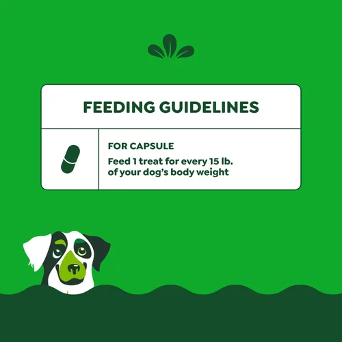 Vista 8 de Greenies Pill Pockets con dulces de mantequilla de maní real para perros