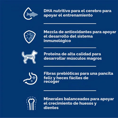 Vista 6 de Hill's Science Diet Comida húmeda para perros, receta de cachorro, pollo y cebada, latas de 13 onzas, paquete de 12