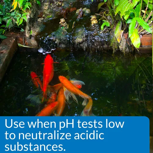 Vista 2 de API POND pH UP - Solución de elevación de pH para agua de estanque, botella de 16 onzas