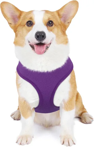 Vista 22 de MoNiBloom Arnés para perro de tamaño pequeño, chaleco acolchado suave para cachorros para caminar, correr, entrenar - negro, XS