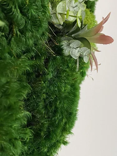 Vista 5 de Luxury Round Framed with Light Green Moss Art Luxury Vertical Garden Wall Designed Home Decor Office Commercial