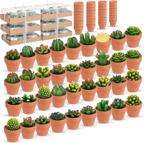 Vista 8 de Shihanee Juego de 36 Piezas a Granel de Velas de Té Decorativas de Cactus Suculentas Hechas a Mano con Mini Soportes de Arcilla de Terracota