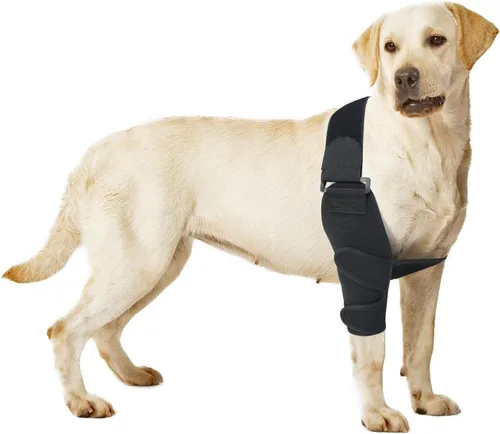 Vista 8 de Coderas protectoras para perros, coderas de perro, coderas ajustables para perros, para displasia de cadera, callos de la pierna delantera, evita