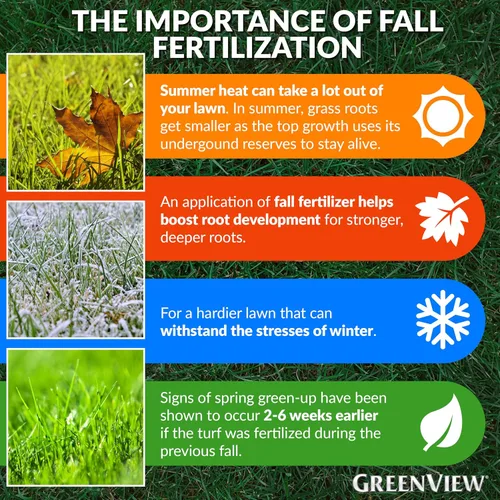 Vista 5 de GreenView. Fertilizante de eficiencia mejorada con alimento de otoño para césped GreenSmart, Blanco