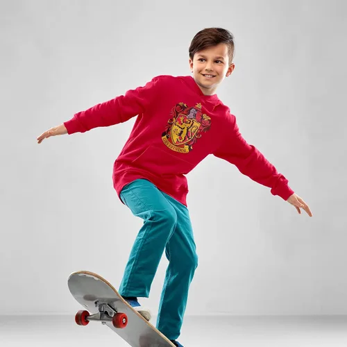 Vista 6 de Harry Potter Hogwarts School of Witchcraft and Wizardry House Crest - Sudadera con capucha para jóvenes
