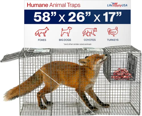 Vista 12 de Trampa humana para gatos callejeros de 24 pulgadas, jaula de animales vivos para gatitos salvajes, zarigüeya, mapache, conejo, armadillo, trampa