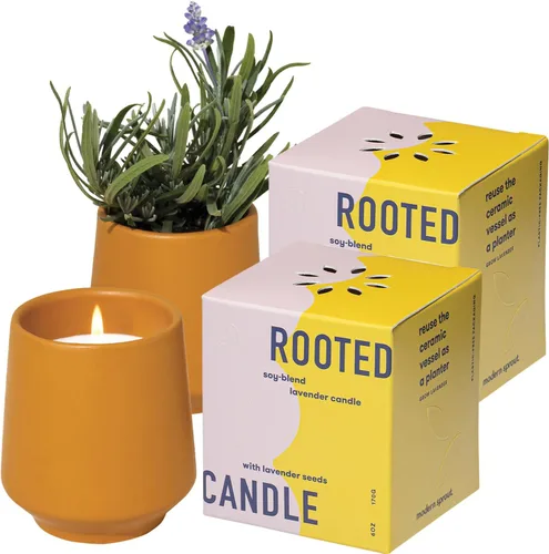 Vista 10 de Modern Sprout Rooted Candle - Vela perfumada de madera de cedro 2 en 1 y soja con semillas que crece en planta de lavanda, 6 onzas con 42 horas