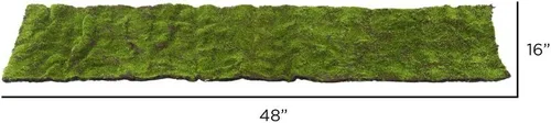 Vista 3 de Vickerman FE172701 Alfombrilla de musgo para uso diario